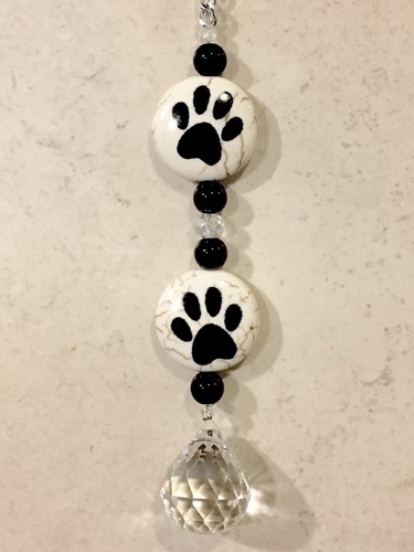 Dog paw rear - paw,