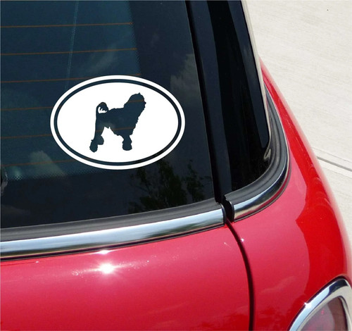 Euro lowchen low chen dog - euro,