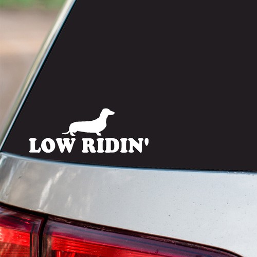 Low ridin sticker dog - sticker,