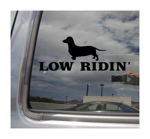 Black low ridin dachshund - black,