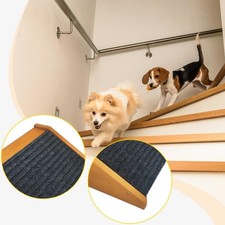 Dog Ramp Low Angled Portable