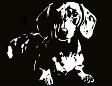 Dachshund Doxie Portrait Decal