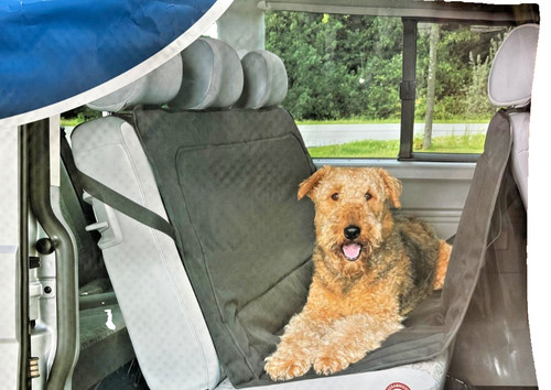 Rear heated dog puppy car - rear,