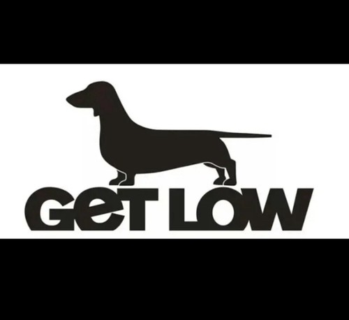 Dachshund get low car - 12”,