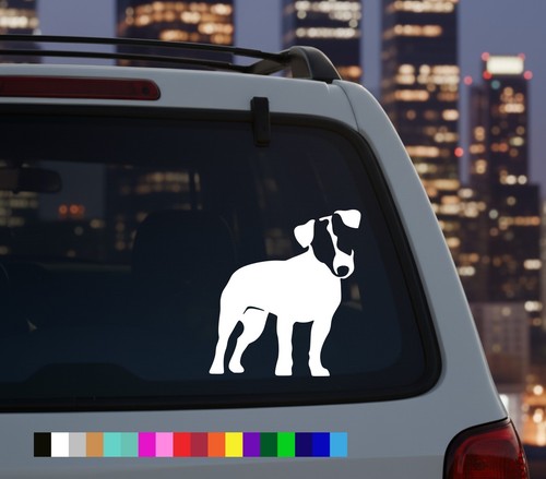 Jack russell terrier - russell,