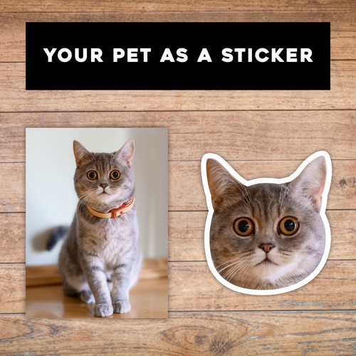 Custom pet sticker - pet,